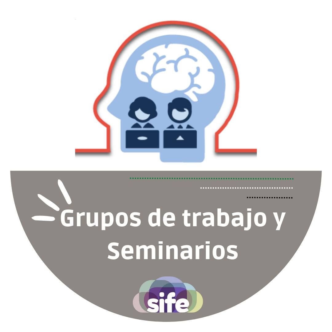 GRUPOS DE TRABAJO SEMINARIOS